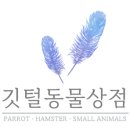 깃털동물상점
