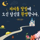 닻빛