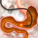 하다 피트니스 이미지