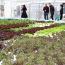 스마트팜 이미지