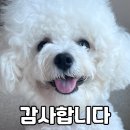 (주)한강마케팅 | 얼쓰빕 매장 방문 구매 후기 / EARTH THE APARTMENT / 예약 방법 / 내돈내산
