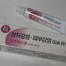 뚱보 고양이 | 빌려온 고양이 같이