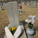 RE:국립묘지에 계시는 총각 국가 유공자 이미지