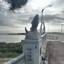 면역공방 이미지