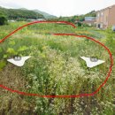 답내1리  마을회관 이미지