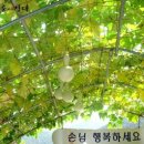 무주황실펜션 이미지