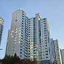 원효초교 이미지