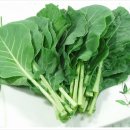 하버드독서실 이미지