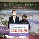 비금 뉴스온