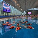 실내수영장 이미지