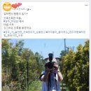 허밍팜 네이버블로그