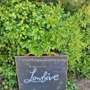 경기도 수원시 팔달구 신풍로23번길 | [수원/맛집] 수원 행궁동맛집 로우파이브, 옥수수피자·라자냐 먹고 감탄한 내돈내산 찐 후기