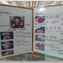 고원식당 이미지