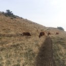 김녕비치민박 이미지