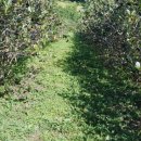 굿마루농장 이미지