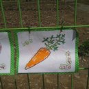 리더아이어린이집 이미지