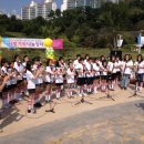 다섯손가락교육 디트뉴스24