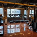 머슬베어짐 이미지