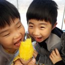 비산3리 이미지