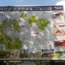 (주)태형테크 | 옥천 장령산자연휴양림에서.... 대전 인근 캠핑장. 장용산자연휴양림. 옥천 캠핑장. 선착순 캠핑장...