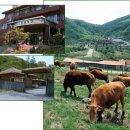 단양축산업협동조합소백산관광목장