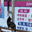 태권치킨 감곡점