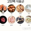 단백질 과다섭취 부작용 단백질 부족 증상 이미지