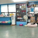 애견훈련소 보담 이미지