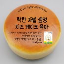 탑리여자중학교 | [공지] [초대] 6번째 팜파티(10/26), 제주 하영담아 감귤 농장에서 만나요
