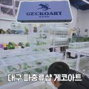 어항급수대 | 대구 파충류샵 게코아트 이색체험하고 용품 구입