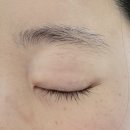 한아름어린이공원 | [서울 광진구] 건대속눈썹 이유래쉬 솔직 방문 체험후기