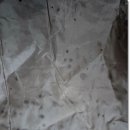 코오롱 세탁 연구소 이미지