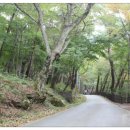 영화마을 이미지