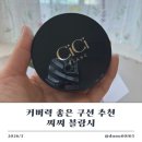 씨씨플러스 | 커버력 좋은 쿠션 추천 씨씨 블랑시 자연스러운 피부 표현 쿠션