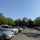 삼성교통박물관 | [용인 가볼만한곳] 삼성화재 모빌리티뮤지엄 자동차 박물관 실내데이트 후기