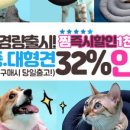 주문로① 이미지