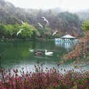 반짝세상 이미지