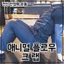 플로우 스트렝스 이미지