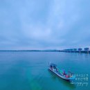 하단동1163 이미지