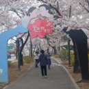 꽃보라동산 이미지