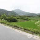 명당1리 이미지