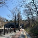 신현중학교 | 인천 벚꽃 명소 SK석유화학 벚꽃동산 방문 후기 | 개장시기, 주차 및 포토스팟 추천!