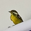 놀러와공인중개사사무소 이미지