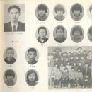 송성분