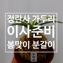 정란사