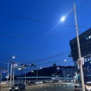 토박이냉삼 | 부산 송도해수욕장 맛집 부원 냉삼집 송도 토박이의 내돈내산 후기