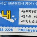 개꼬신내 이미지