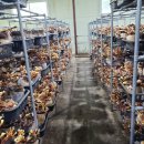 율어농장 이미지