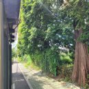 배우물농장 이미지