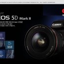 캐논 EOS 5D Mark 2 Body 정품(새제품 미개봉) 판매 이미지